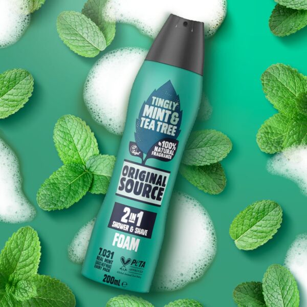 2-1 Shower and Shave - Tingly Mint & Tea Tree